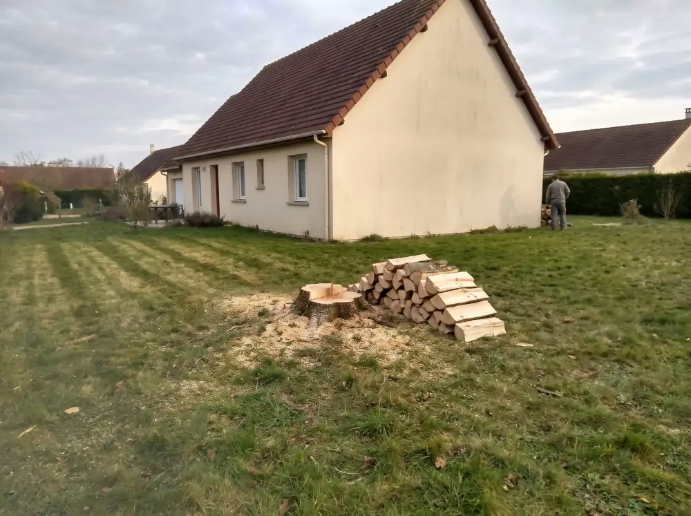 Après : Abattage d'un épicéa trop proche de la maison